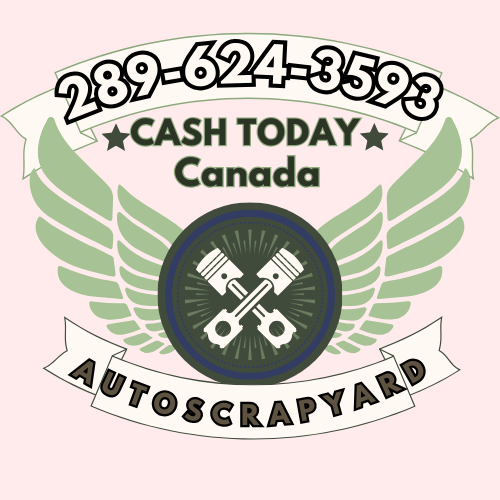Bathurst Used Car Buyer Services